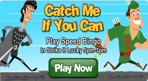 speed bingo